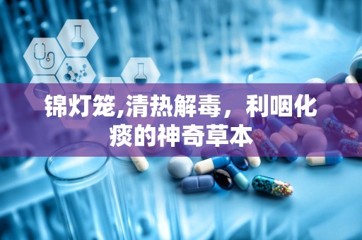 锦灯笼,清热解毒，利咽化痰的神奇草本
