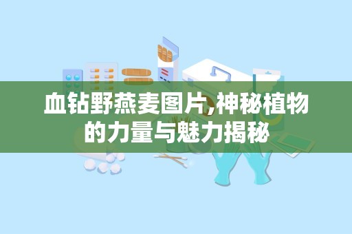 血钻野燕麦图片,神秘植物的力量与魅力揭秘