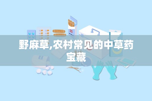 野麻草,农村常见的中草药宝藏