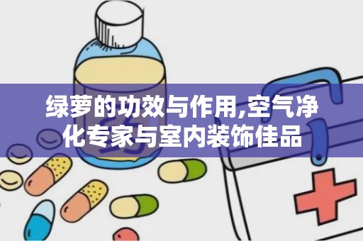 绿萝的功效与作用,空气净化专家与室内装饰佳品