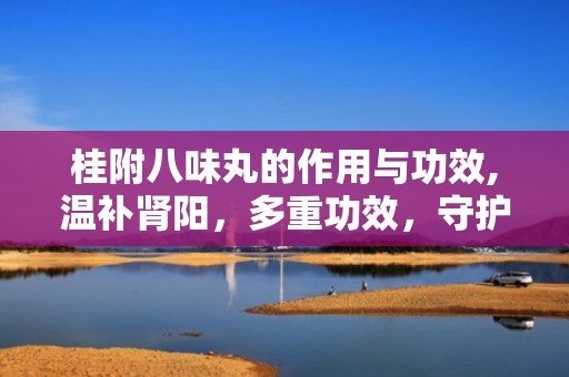 桂附八味丸的作用与功效,温补肾阳，多重功效，守护健康之道