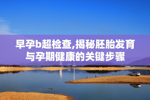 早孕b超检查,揭秘胚胎发育与孕期健康的关键步骤