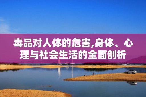 毒品对人体的危害,身体、心理与社会生活的全面剖析