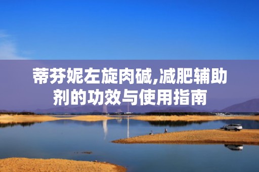 蒂芬妮左旋肉碱,减肥辅助剂的功效与使用指南