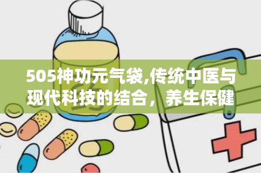 505神功元气袋,传统中医与现代科技的结合，养生保健的神奇之选”