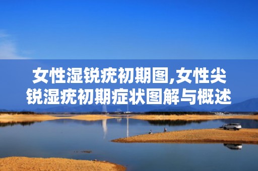 女性湿锐疣初期图,女性尖锐湿疣初期症状图解与概述