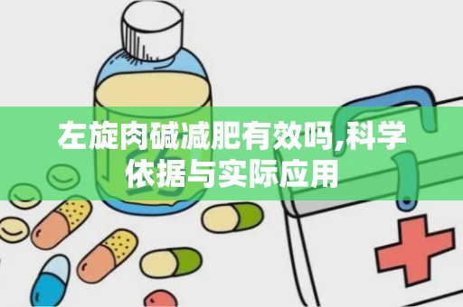 左旋肉碱减肥有效吗,科学依据与实际应用