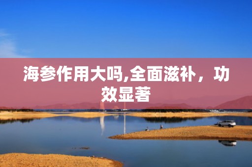 海参作用大吗,全面滋补，功效显著