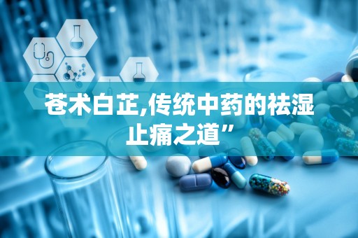 苍术白芷,传统中药的祛湿止痛之道”