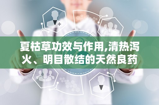 夏枯草功效与作用,清热泻火、明目散结的天然良药