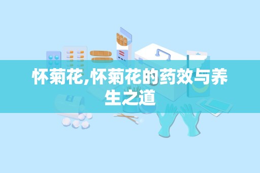怀菊花,怀菊花的药效与养生之道