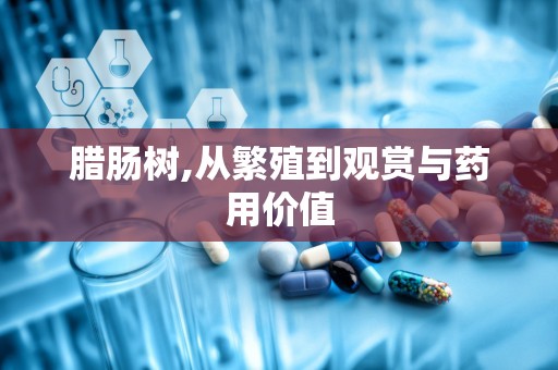 腊肠树,从繁殖到观赏与药用价值