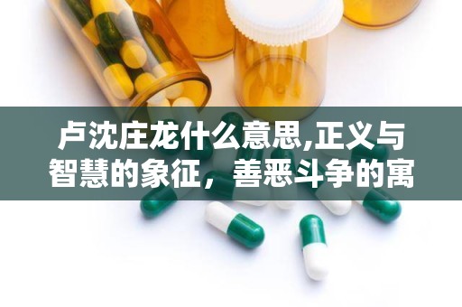 卢沈庄龙什么意思,正义与智慧的象征，善恶斗争的寓言启示