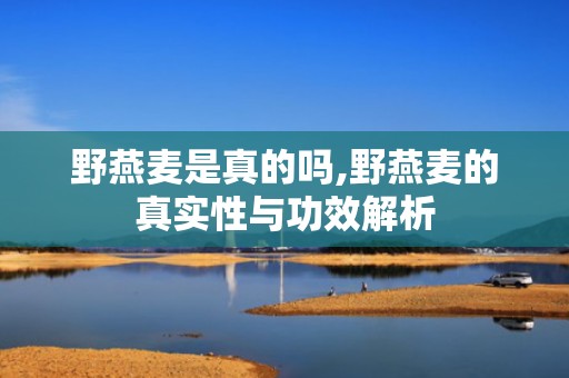野燕麦是真的吗,野燕麦的真实性与功效解析
