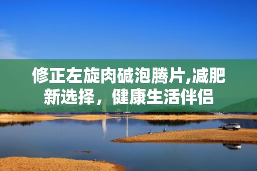 修正左旋肉碱泡腾片,减肥新选择，健康生活伴侣