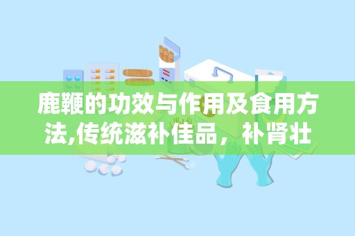 鹿鞭的功效与作用及食用方法,传统滋补佳品，补肾壮阳，多效合一的养生秘籍