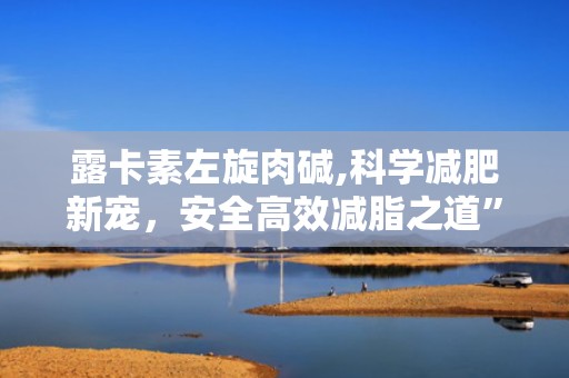 露卡素左旋肉碱,科学减肥新宠，安全高效减脂之道”