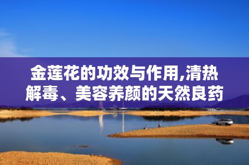 金莲花的功效与作用,清热解毒、美容养颜的天然良药