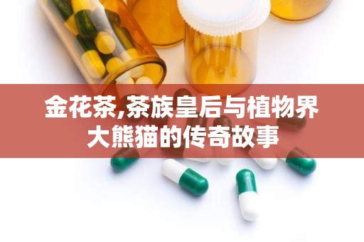 金花茶,茶族皇后与植物界大熊猫的传奇故事