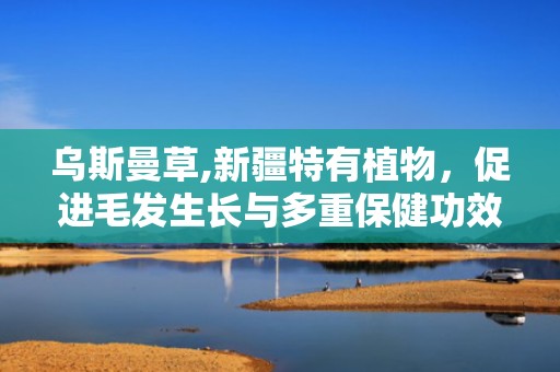 乌斯曼草,新疆特有植物，促进毛发生长与多重保健功效的天然良药