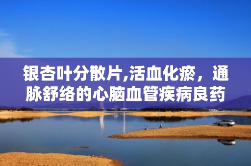 银杏叶分散片,活血化瘀，通脉舒络的心脑血管疾病良药