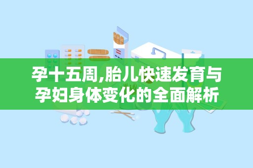 孕十五周,胎儿快速发育与孕妇身体变化的全面解析