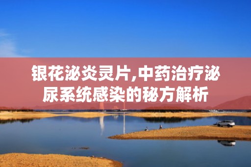 银花泌炎灵片,中药治疗泌尿系统感染的秘方解析
