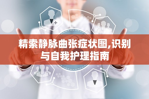 精索静脉曲张症状图,识别与自我护理指南