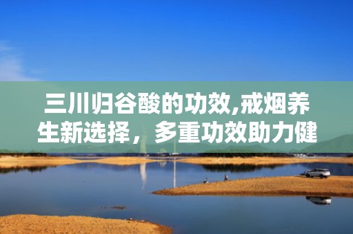 三川归谷酸的功效,戒烟养生新选择，多重功效助力健康生活”