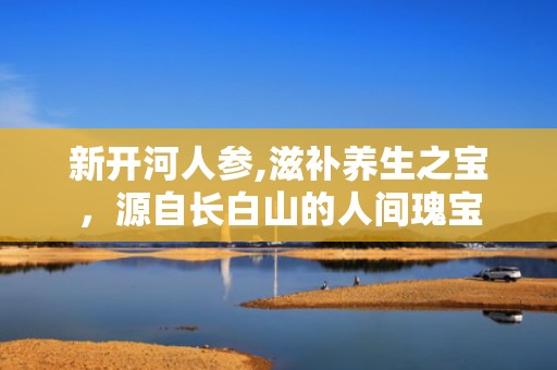 新开河人参,滋补养生之宝，源自长白山的人间瑰宝