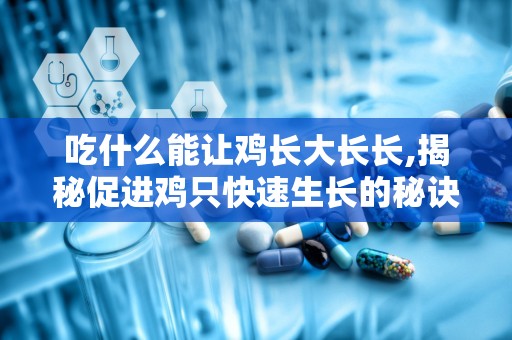 吃什么能让鸡长大长长,揭秘促进鸡只快速生长的秘诀