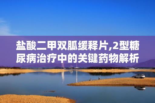 盐酸二甲双胍缓释片,2型糖尿病治疗中的关键药物解析