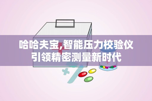 哈哈夫宝,智能压力校验仪引领精密测量新时代