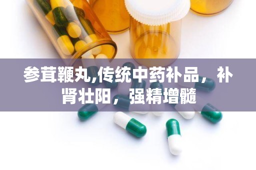 参茸鞭丸,传统中药补品，补肾壮阳，强精增髓