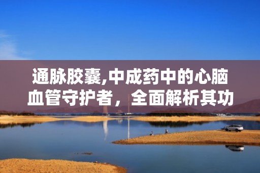 通脉胶囊,中成药中的心脑血管守护者，全面解析其功效与作用”