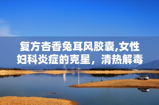 复方杏香兔耳风胶囊,女性妇科炎症的克星，清热解毒，祛瘀生新”