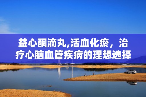 益心酮滴丸,活血化瘀，治疗心脑血管疾病的理想选择