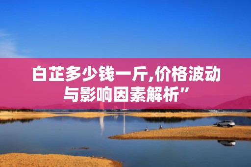 白芷多少钱一斤,价格波动与影响因素解析”
