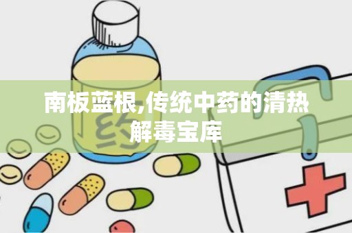 南板蓝根,传统中药的清热解毒宝库