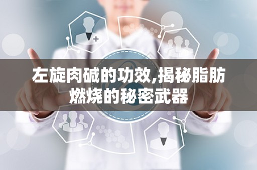 左旋肉碱的功效,揭秘脂肪燃烧的秘密武器