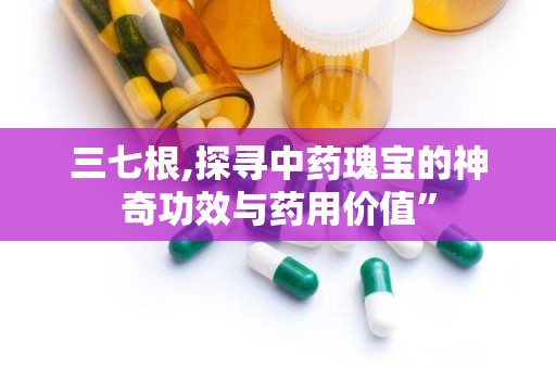三七根,探寻中药瑰宝的神奇功效与药用价值”