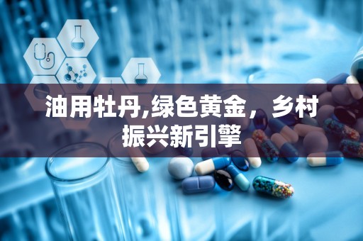 油用牡丹,绿色黄金，乡村振兴新引擎