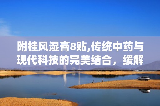 附桂风湿膏8贴,传统中药与现代科技的完美结合，缓解风湿疼痛的良方”