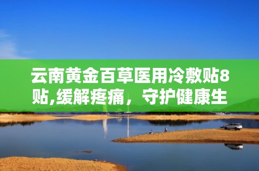 云南黄金百草医用冷敷贴8贴,缓解疼痛，守护健康生活新选择