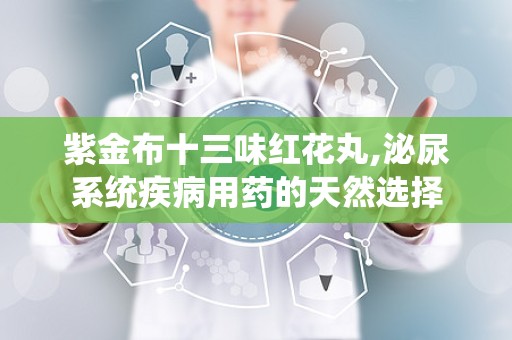 紫金布十三味红花丸,泌尿系统疾病用药的天然选择