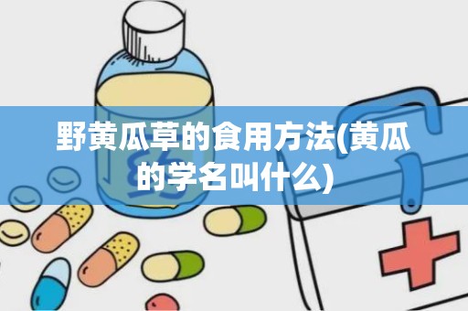 野黄瓜草的食用方法(黄瓜的学名叫什么)