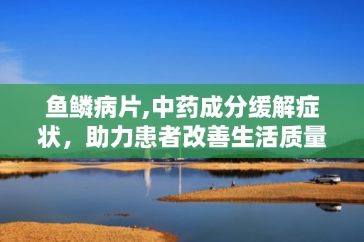 鱼鳞病片,中药成分缓解症状，助力患者改善生活质量”