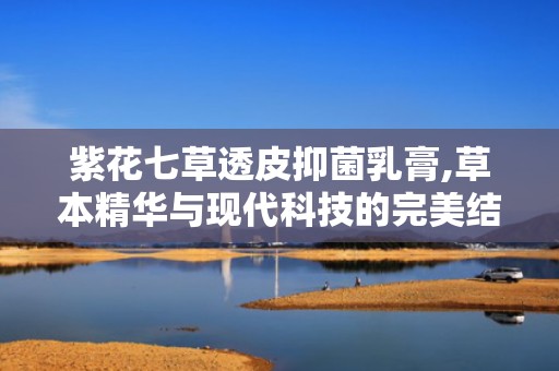 紫花七草透皮抑菌乳膏,草本精华与现代科技的完美结合，守护您的肌肤健康