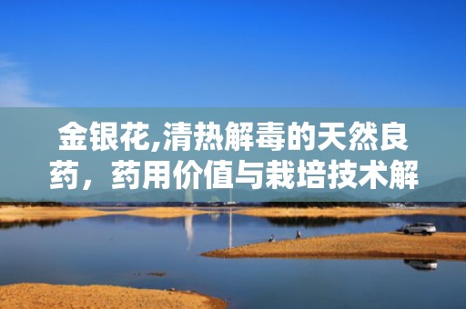 金银花,清热解毒的天然良药，药用价值与栽培技术解析