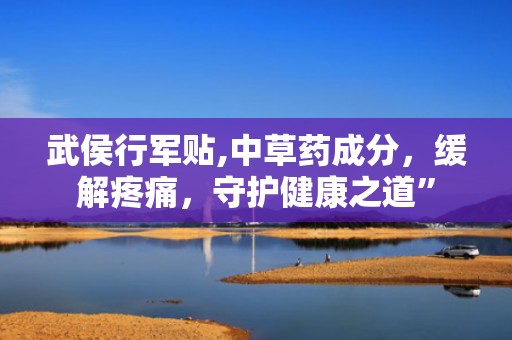 武侯行军贴,中草药成分，缓解疼痛，守护健康之道”